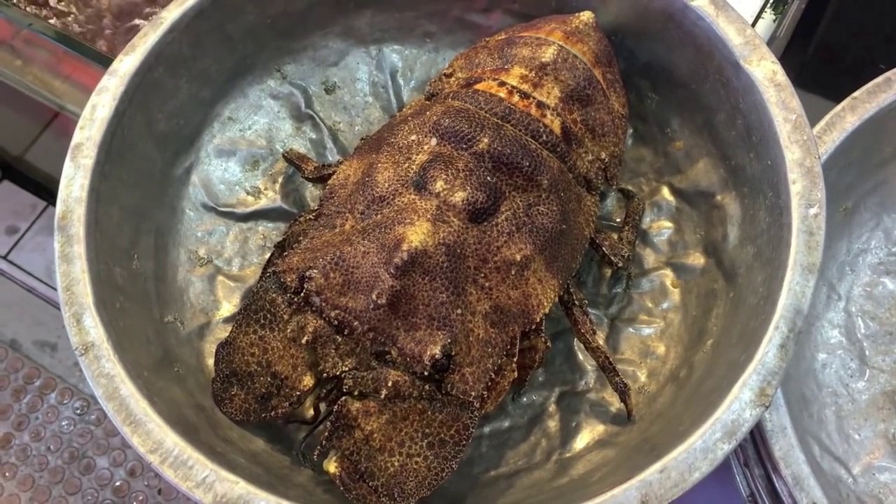 Taiwan Street Food - LOBSTER SASHIMI Taiwanese Seafood