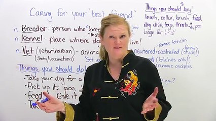 Real English Taking care of your pet DOG!