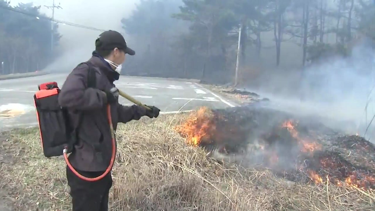[속보] 강원 고성 산불 확산...주민 긴급 대피·국도 통제 / YTN