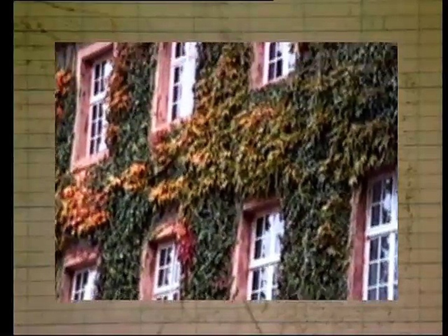Une histoire de lycée