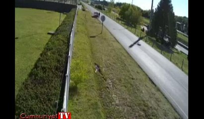 Cinayet mi kaza mı ?