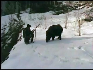 Hunter decide not to kill wild boar