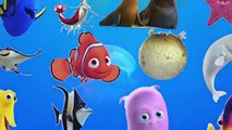LEARN SEA ANIMALS & WATER ANIMALS NAMES AND SOUND REAL OCEAN SOUND ANIMAL VIDEO FOR KIDS PART 4