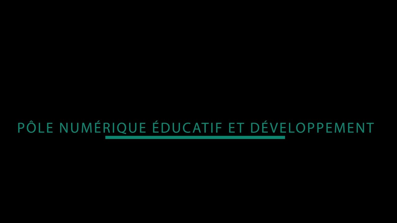 Vidéo pole numérique et developpement