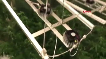 Sarıyer'de Apartman Dairesinde Uyuşturucu Serası: 2 Gözaltı