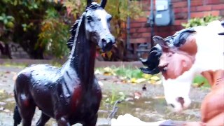 Breyer Horse Movie Alaska part 10