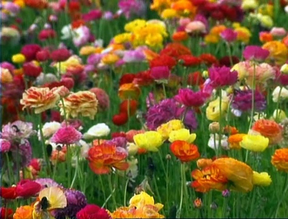 Lyric Language French - The Seasons - Les Saisons