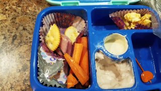 Week 8 school lunches easy bento box style