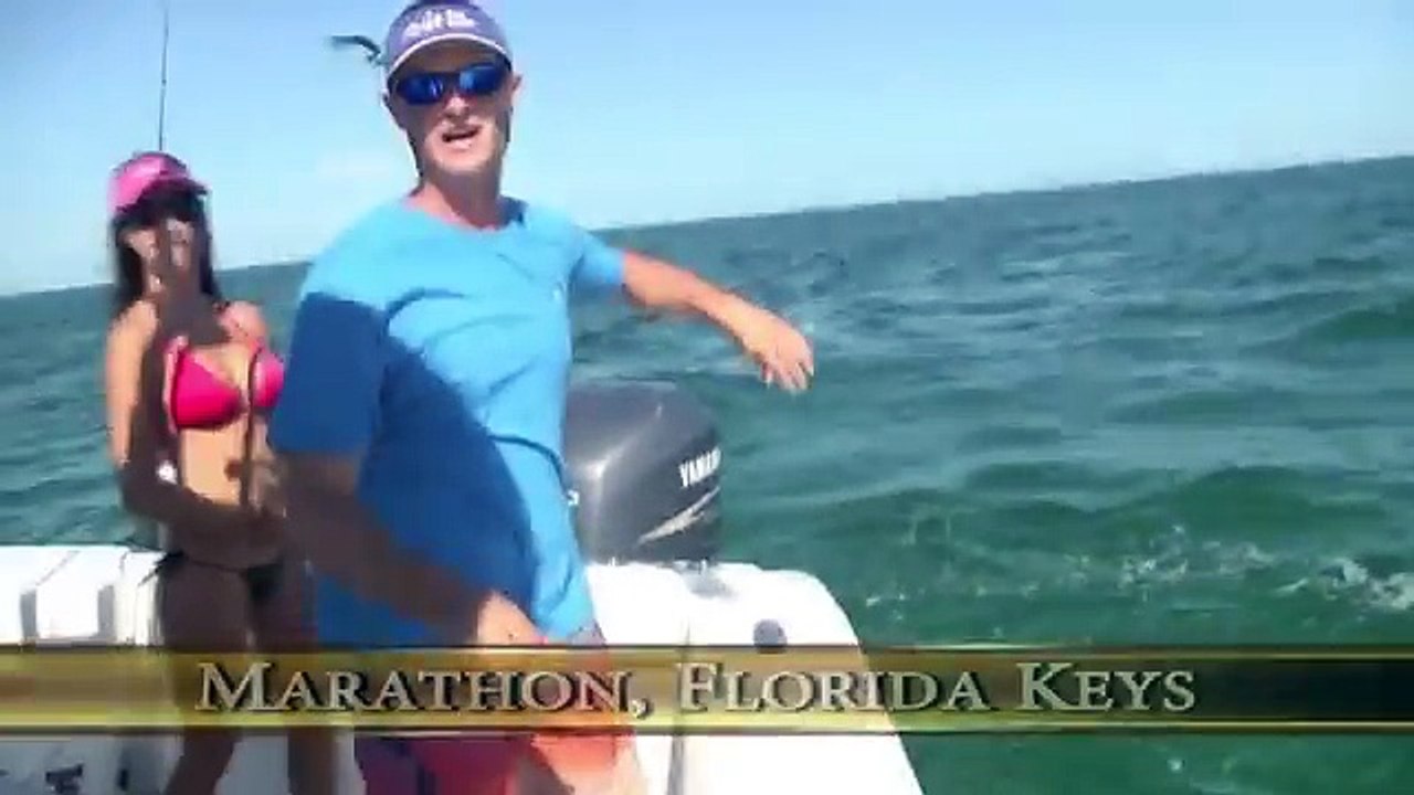 Best Cobia fishing in the Florida Keys part 2