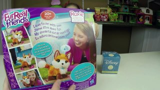 FurReal Friends Pet Fox Toy Review | Plus a Kinder Surprise Egg & Disney Princess Blind Box