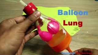 3 incredible science experiments with balloon