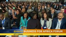 Business for Africa forum begins in Egypt [The Morning Call]
