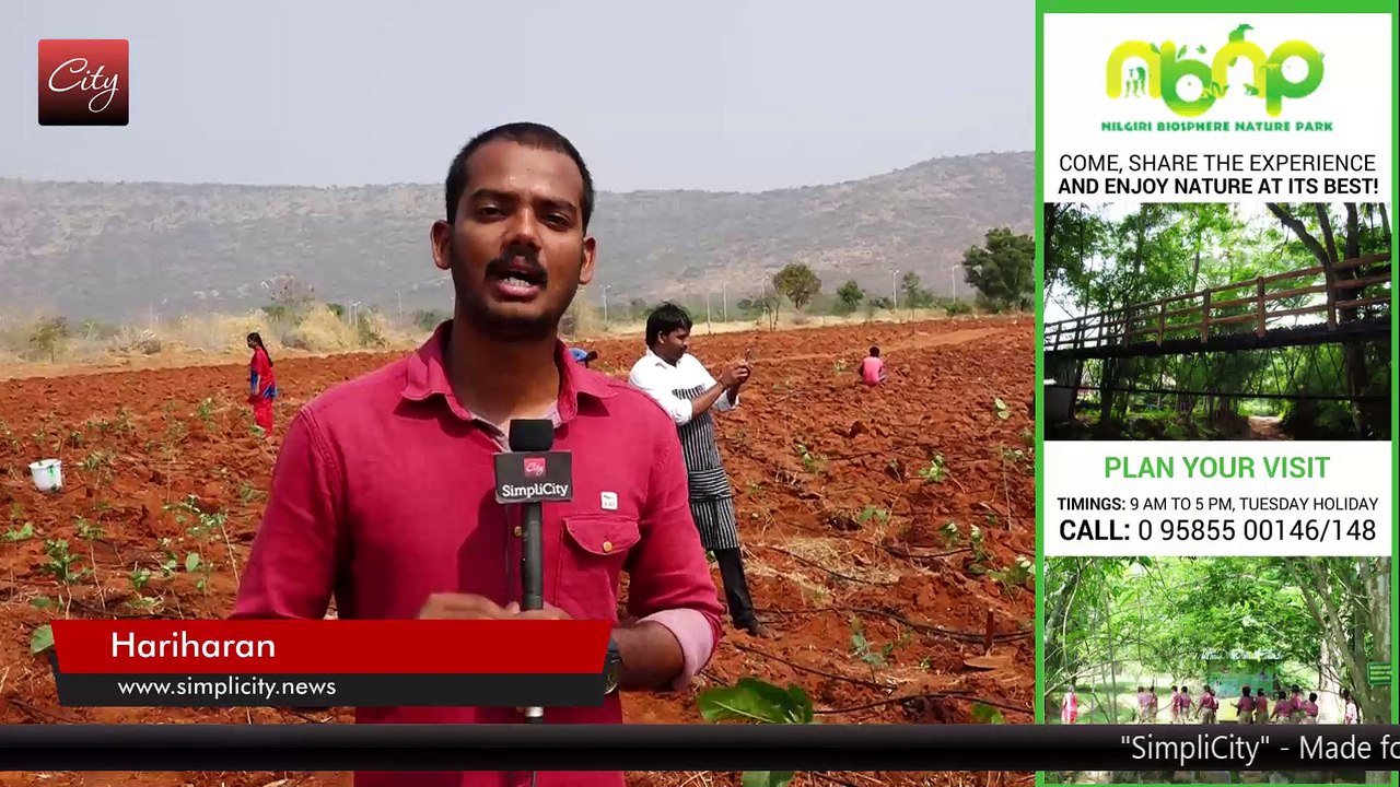 KALAM VANAM - Afforestation project | SimpliCity