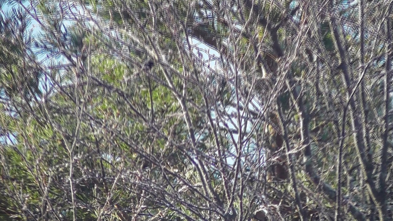 March 28 2018 DL5