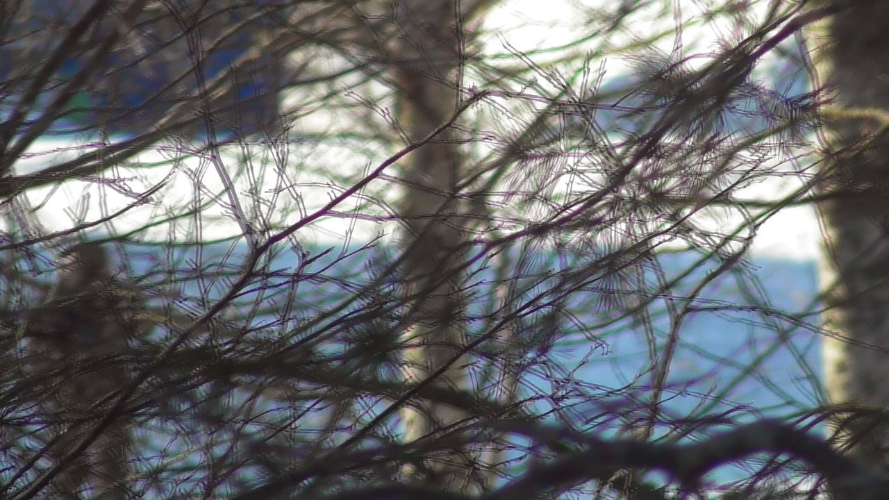 March 28 2018 DL4