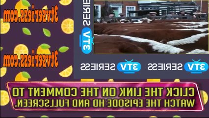 Agatha Christie's Poirot  S03E05 Wasp's Nest part 2/2