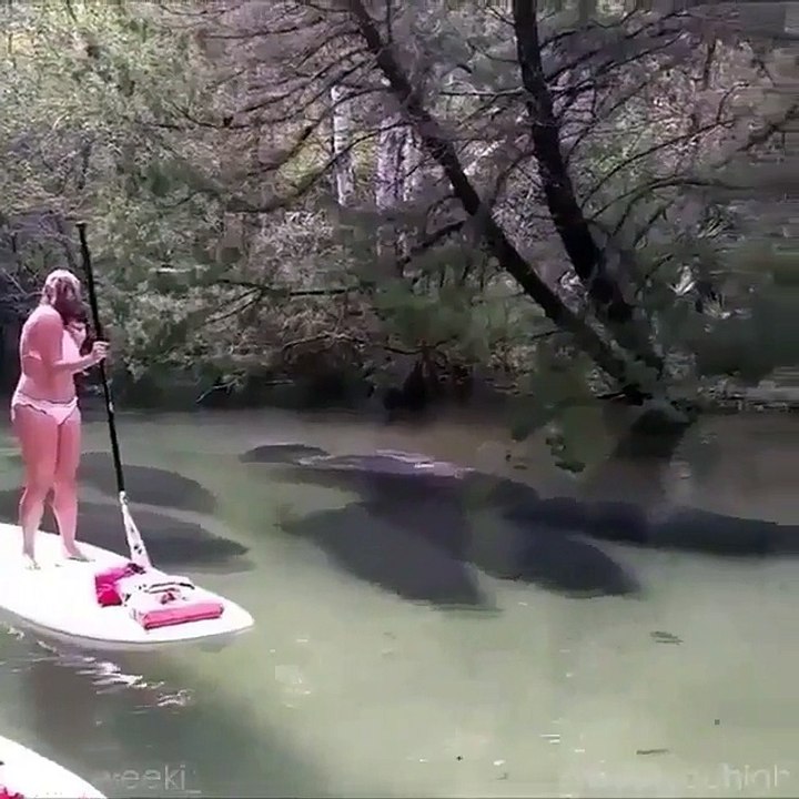Amazing river scene