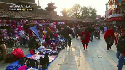 세계테마기행 - 히말라야의 동물들, 네팔에 반하다 4부- 신이 된 동물들_#001