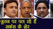 Yogi Adityanath का Akhilesh, Mayawati पर निशाना, कहा जूठन पर पल रहे हैं सर्कस के शेर। वनइंडिया हिंदी