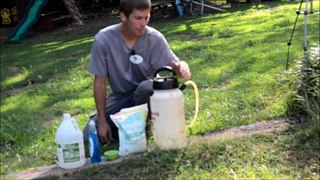 How to Make homemade weed killer and show results vs Roundup