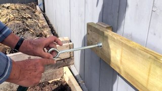 How-to build a Simple Grape Trellis on a residential fence DIY in the Alberta Urban Garden