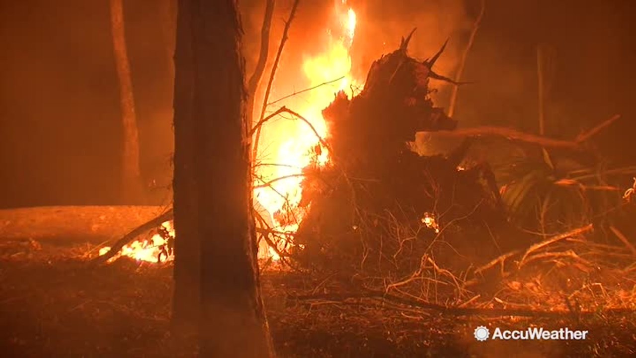 Lightning-sparked brushfire in Florida contained
