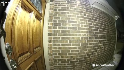 Camera shows massive snake slithering across door of Texas home