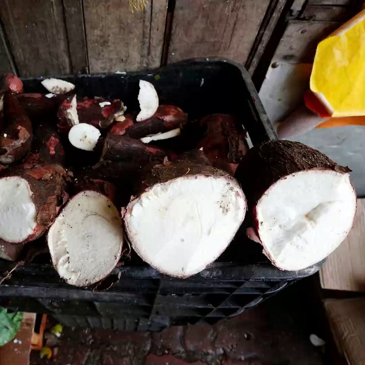 Un jour, un jardin avec Sandra