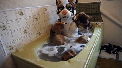 Wash your dog, wash your cat, WASH YOUR FURSUIT!