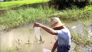 Top 10 Amazing Viral Videos 2016 Net Fishing at Siem Reap Province Cambodia Traditional Fishing
