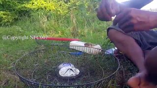 Amazing Electric Fan Guard Fish Trap - Net Fishing In The River
