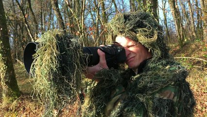 Une matinée dans les pas d'un photographe animalier