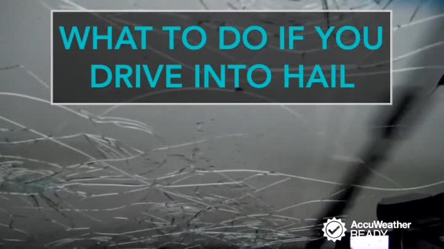 AccuWeather Video Package 60E