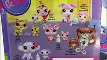 LPS Tiger Poodle Dog Mom Baby Sets Mommies Babies Bobblehead Littlest Pet Shop Review