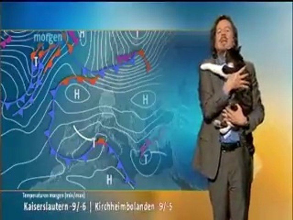Un chat interrompt la météo en Allemagne.