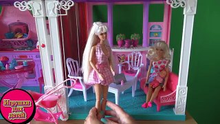 Видео с куклами Барби, Челси хочет чтоб Барби открыла магазин