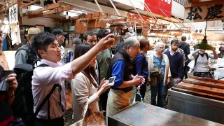 Japanese Street Food - GIANT SUNFISH Mola Mola Tokyo Japan