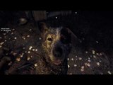 Far Cry 5 Walkthrough Gameplay Rescue BOOMER pet Boomer Gameplay