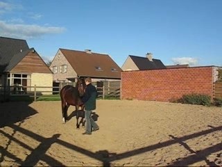 shana peruaanse paso grondwerk en rijden