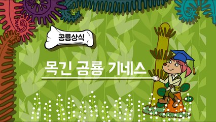 세상에서 가장 목이 긴 공룡은? | Long Neck Dinosaurs League | 공룡세상 Dino animation for kids