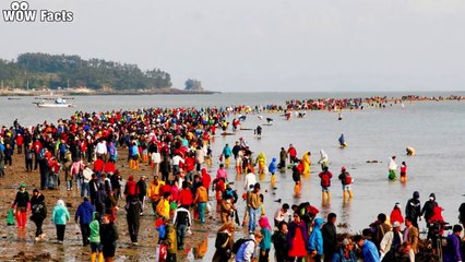 10 Amazing Places That Disappear During High Tide