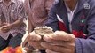 Ancient human bones found during land dredging
