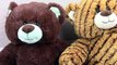 Scouts Cookies Build A Bear Bears Toy Review Thin Mints Coconut Caramel Cookie