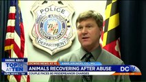 Owners of Maryland Kennel Facing Animal Cruelty Charges