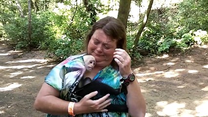 Funniest Monkey Videos of 2018  Cutest Animals 2018 must watch