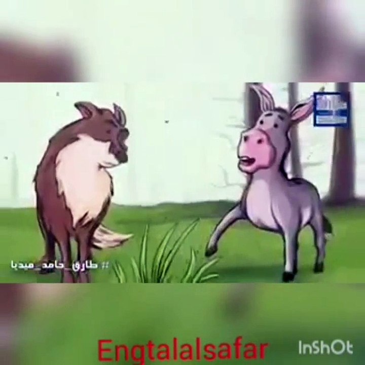 اذكى قاضي عبر التاريخ حكم فيها بين حمار وذئب