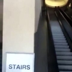 When you slide down... what did she expect