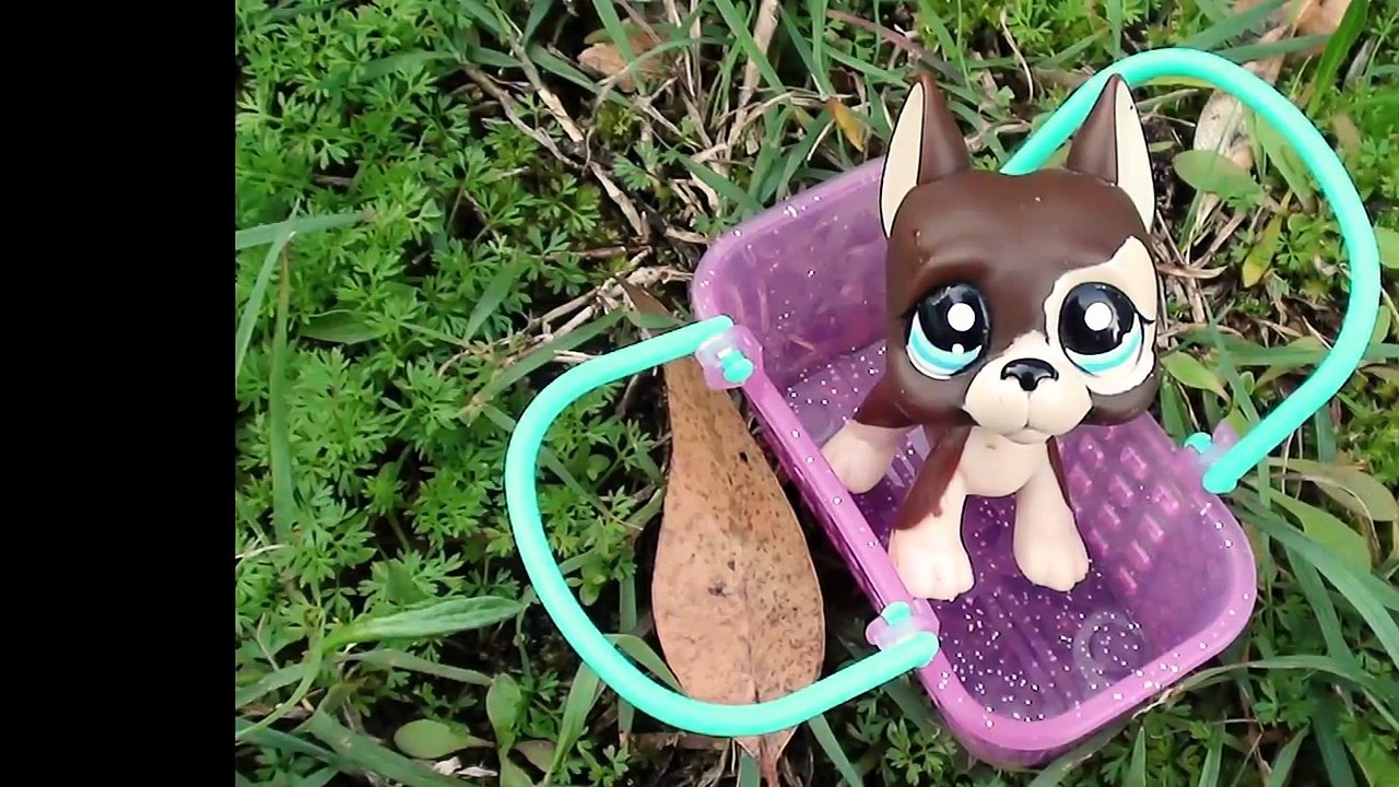 Elsia and Anna Puppy Adventure Movie! Toddlers Annya & Elsya help Cute Lost Puppy Dog Toys In Action