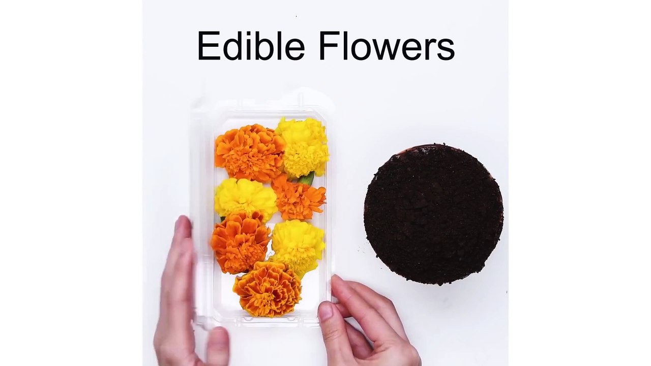 Trick Recipes - Flower Pot Cake Recipe - Cake Hacks - Easy DIY Dessert Recipes Ideas