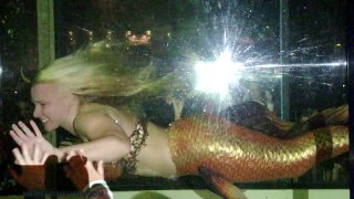 Real Life Mermaid Melissa Live In A Giant Fish Tank